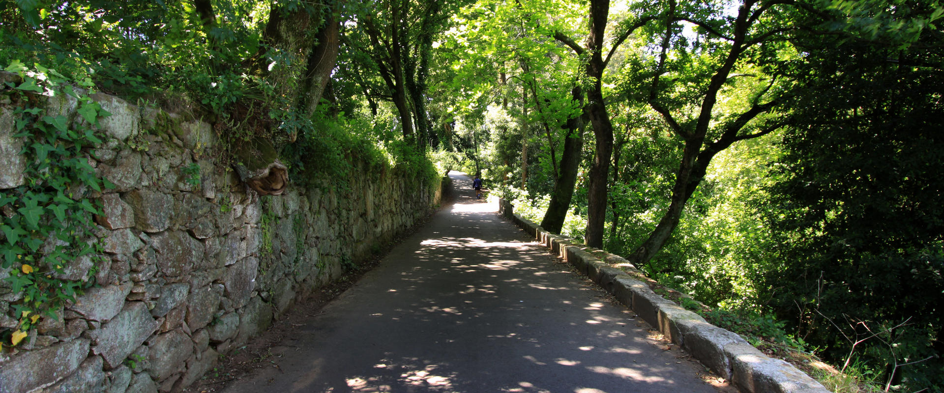 Parque da Cidade de Vila Nova de Gaia